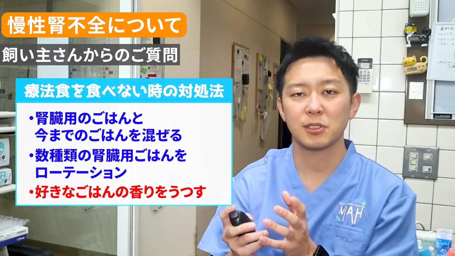 療法食を食べてくれないときの工夫