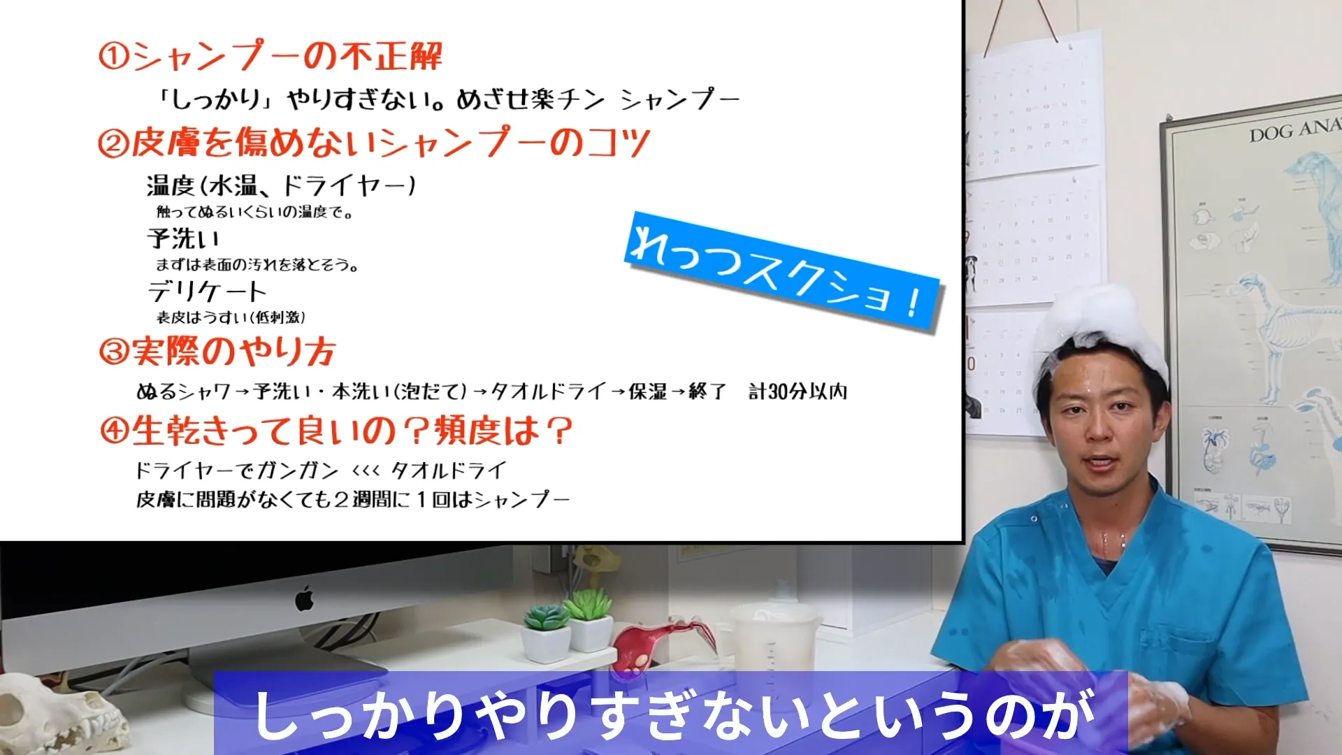 まとめ|犬のシャンプーは「皮膚に負担をかけないこと」が大切