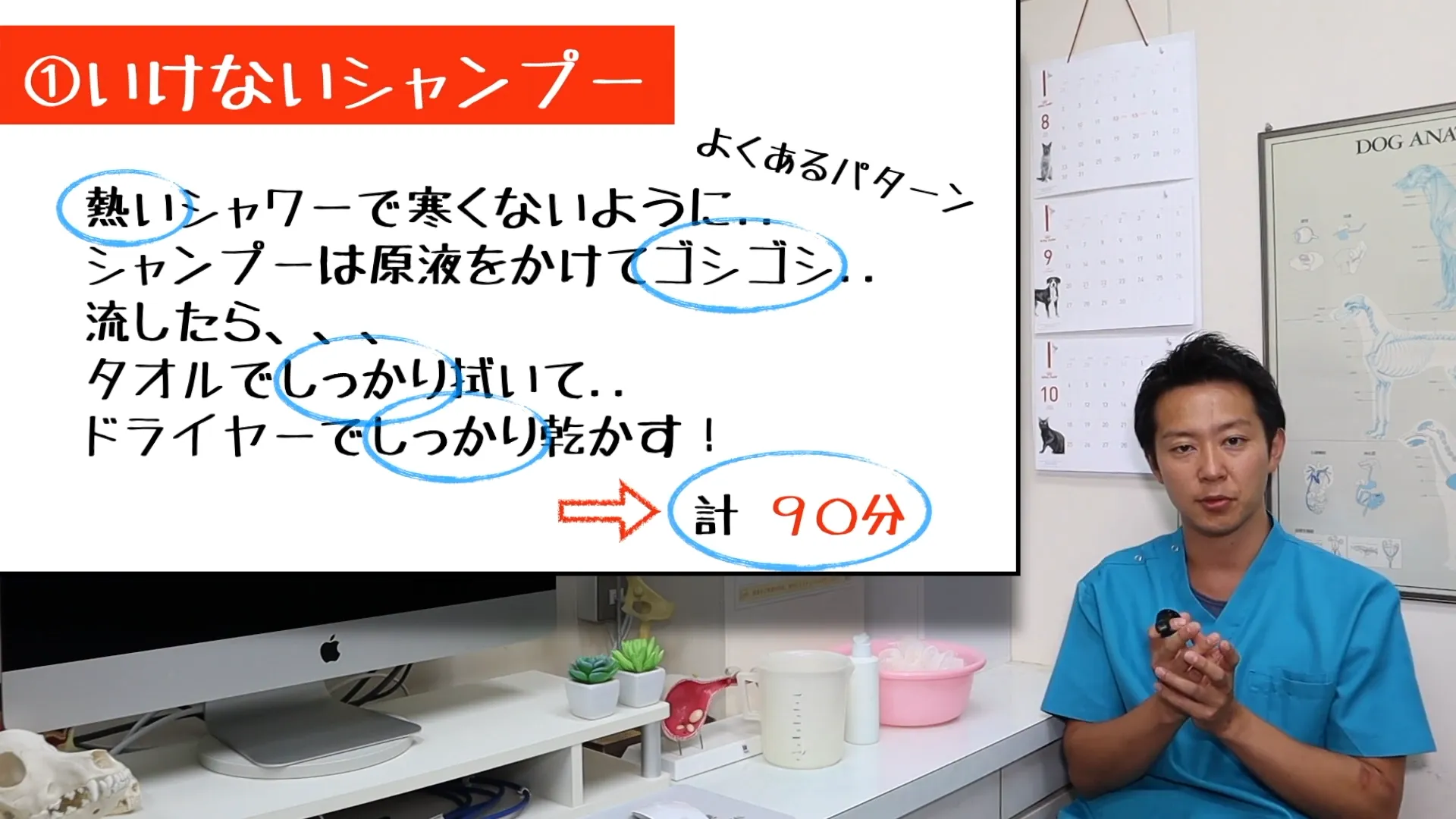 犬のシャンプーで気をつけたいポイント