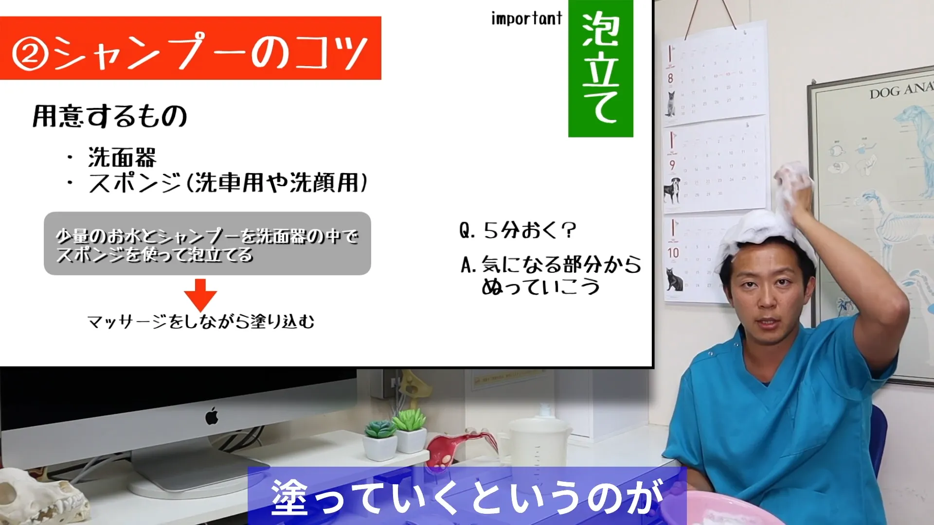 コツ1|泡はスポンジで立ててから塗り込む