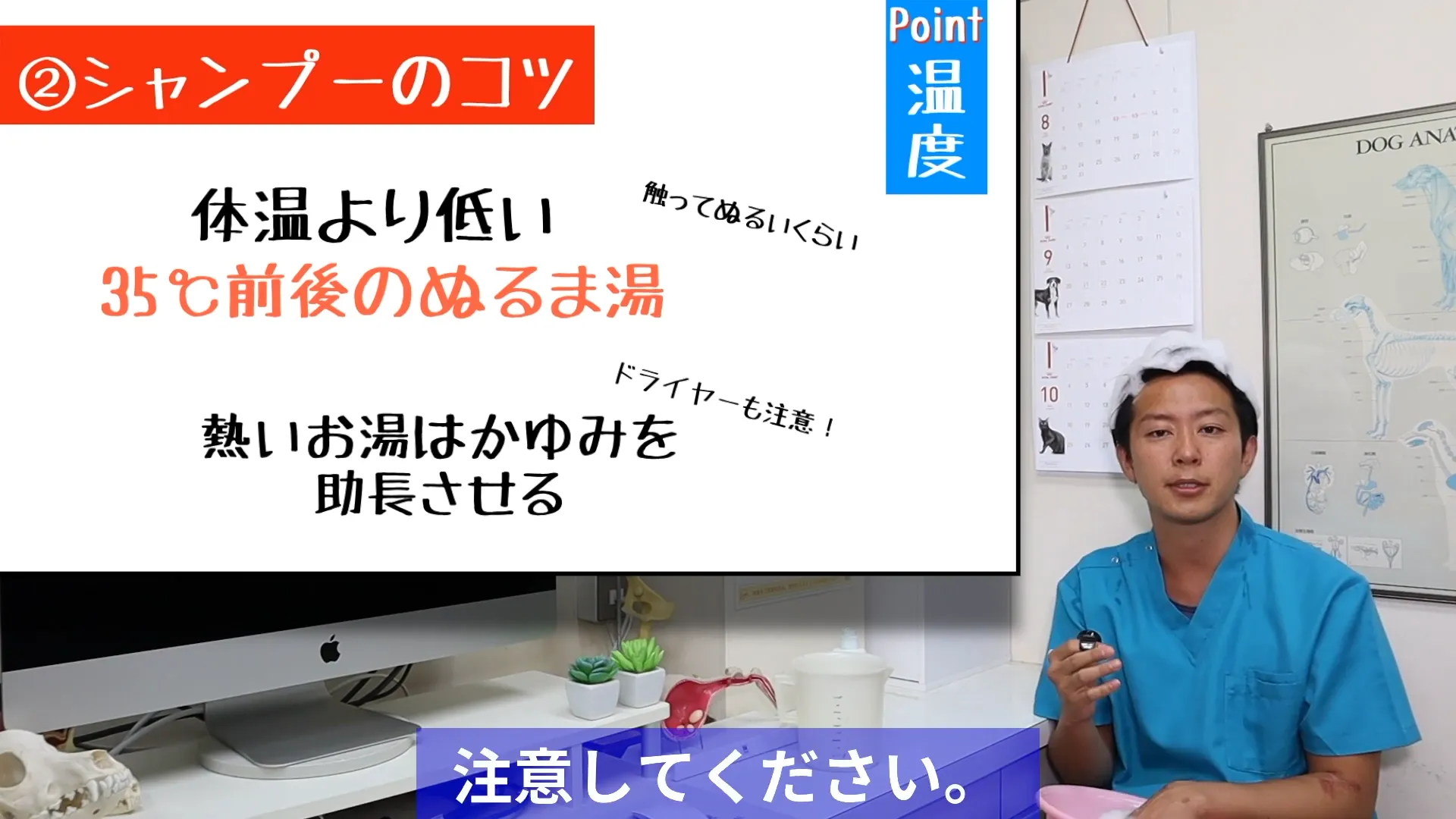 コツ2|シャワーは35℃前後、乾かす際も低めの温度を意識する