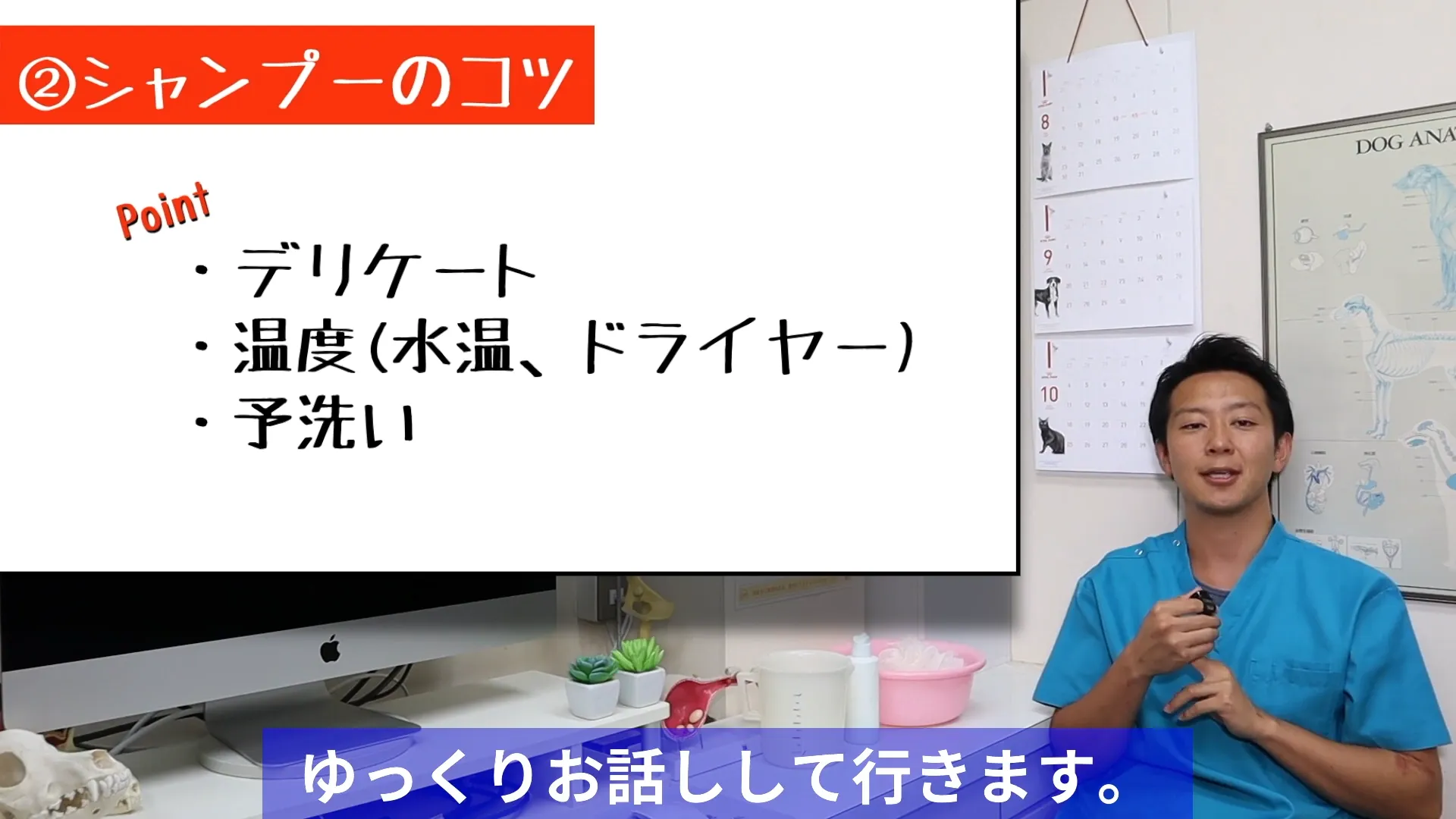 犬のシャンプーで覚えておきたい3つのコツ