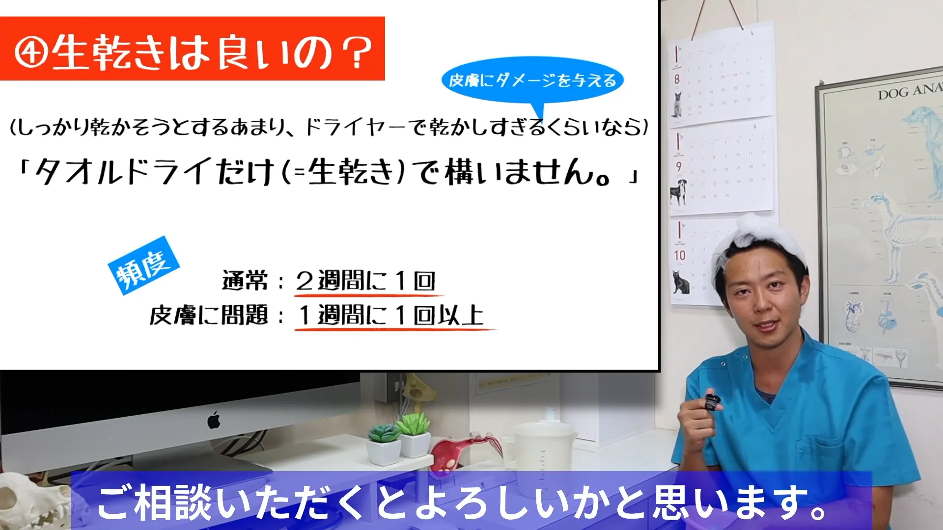 シャンプー後の乾かし方|生乾きでもいいの?