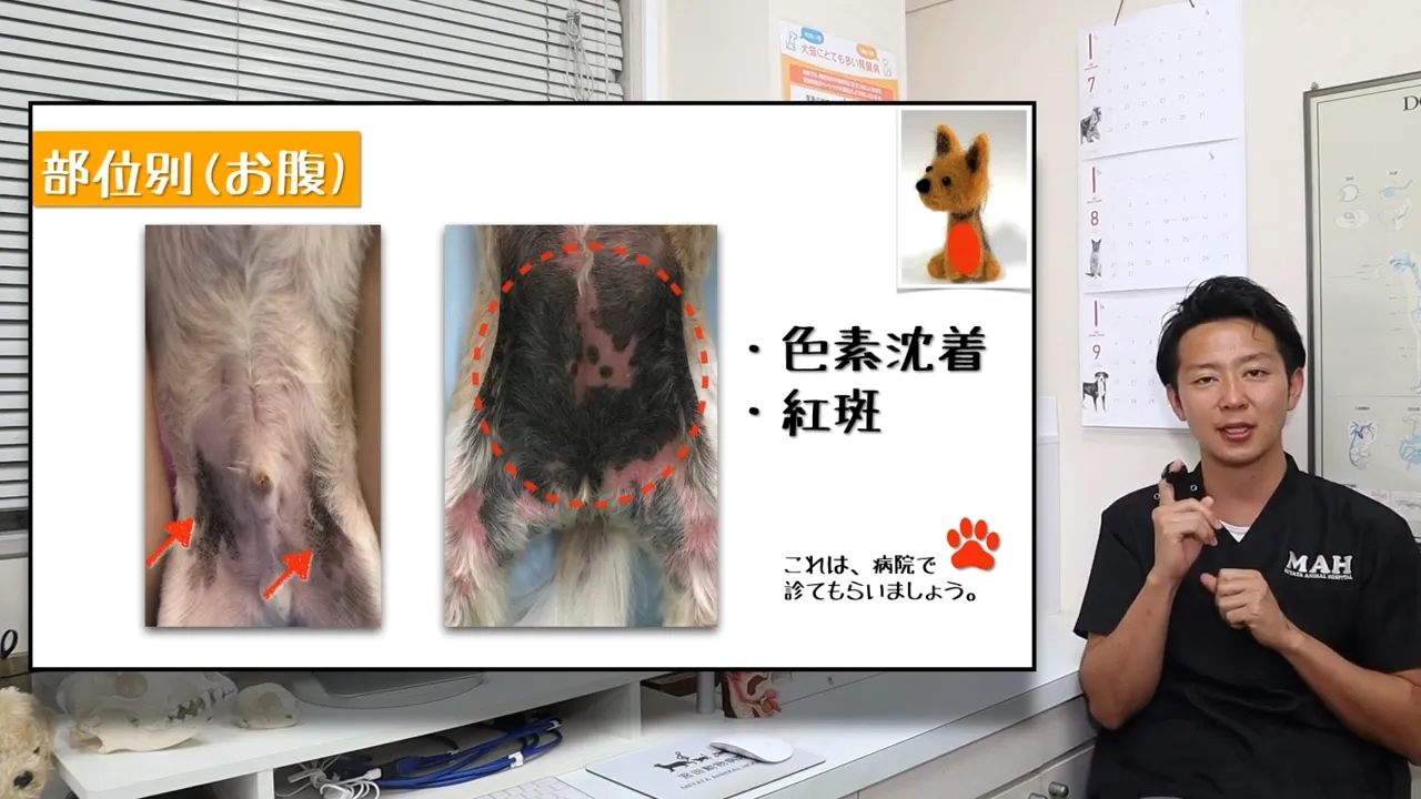 お腹