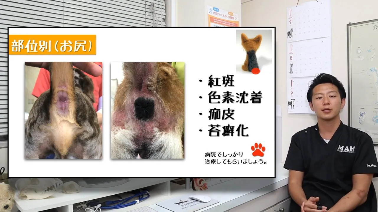 お尻