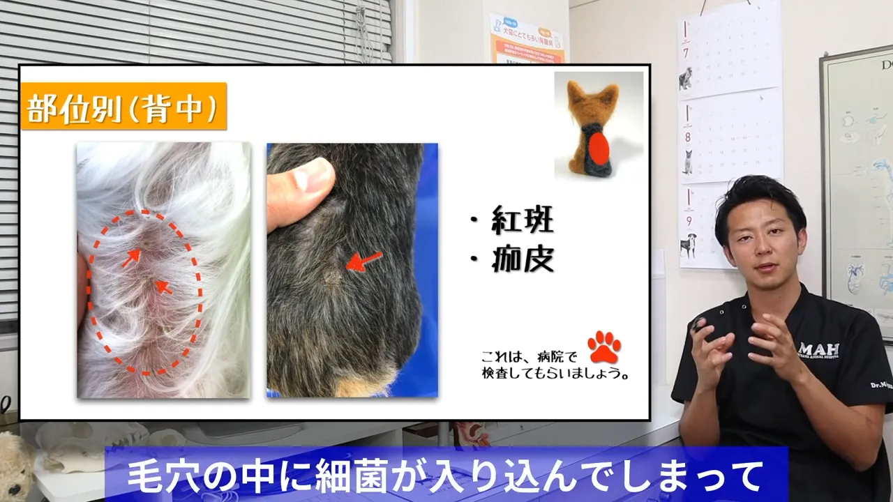 背中