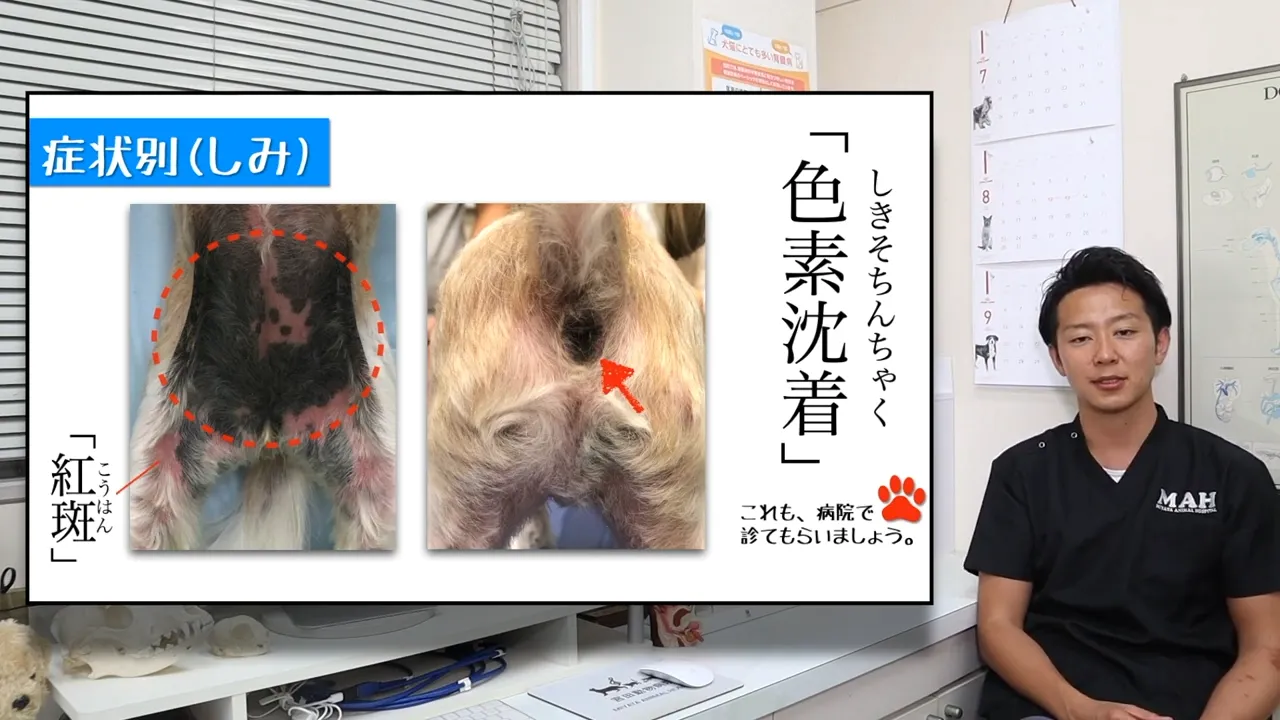 シミのように黒ずんでいる（色素沈着）