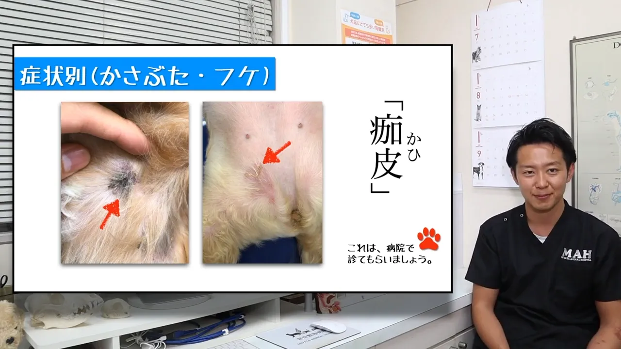 黄色っぽいかさぶた・フケが出ている
