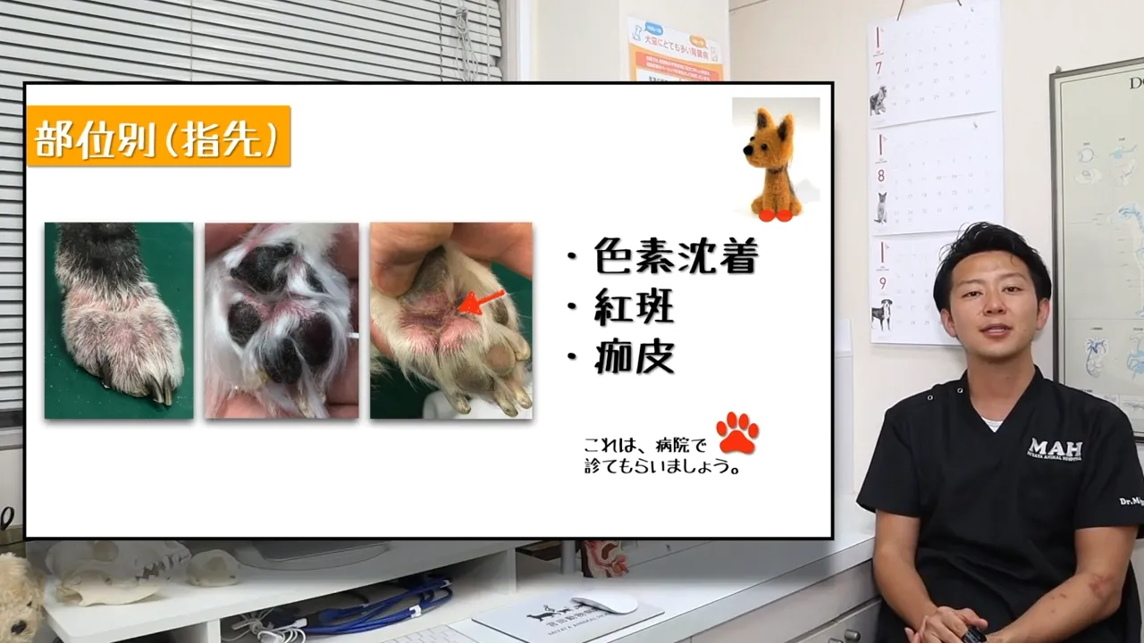 指先・肉球の間