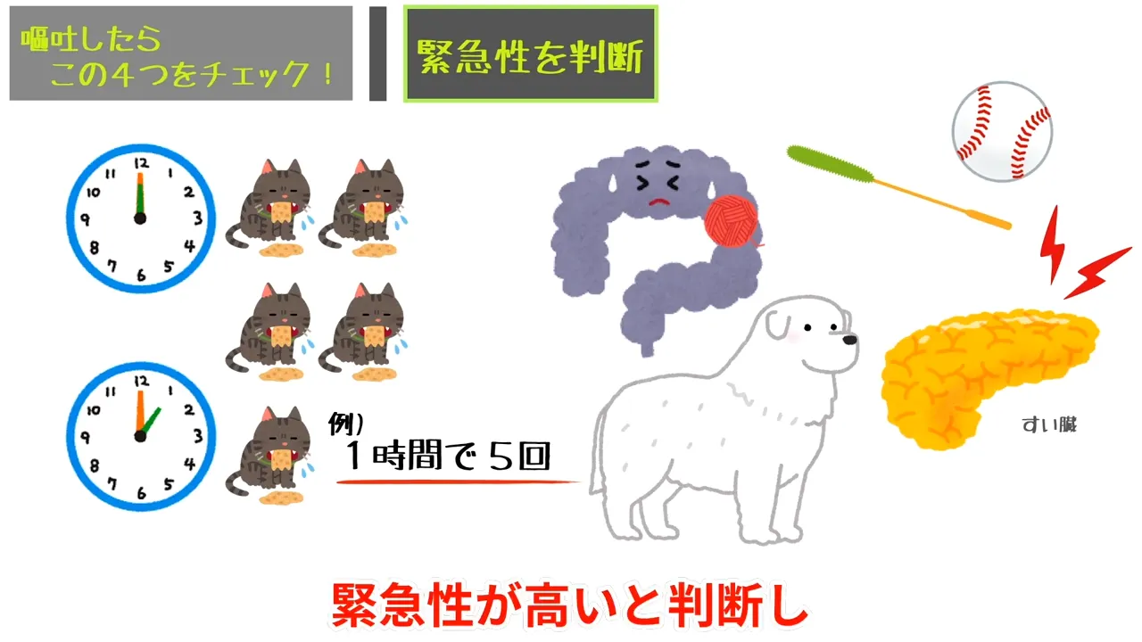 ②吐いた「回数」は何回か