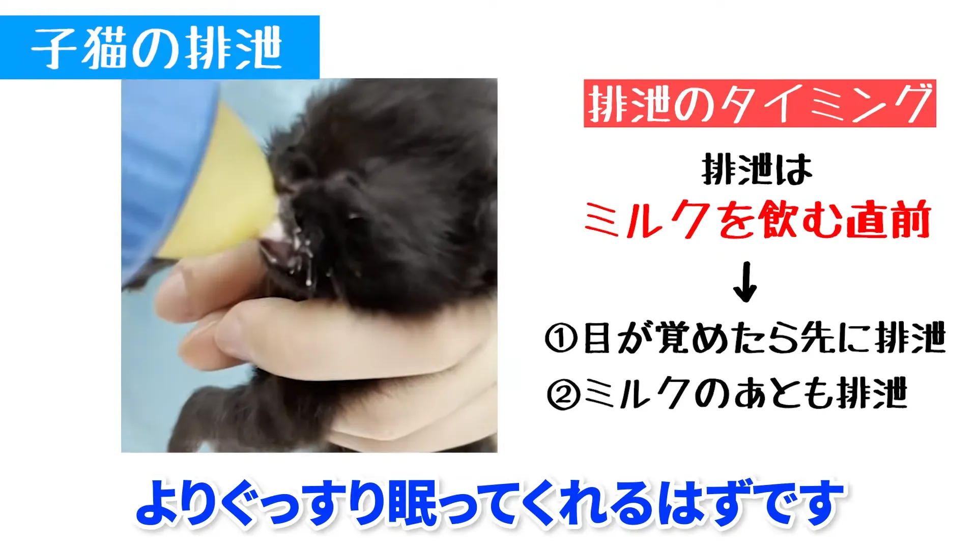 排泄補助のタイミングと正しい抱き方