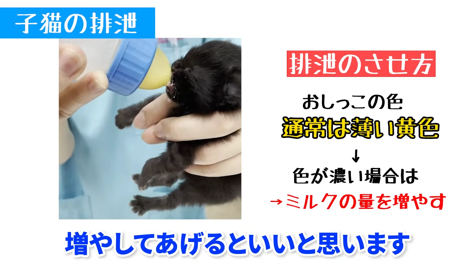 おしっこの出し方｜尿道口まわりをやさしく刺激する