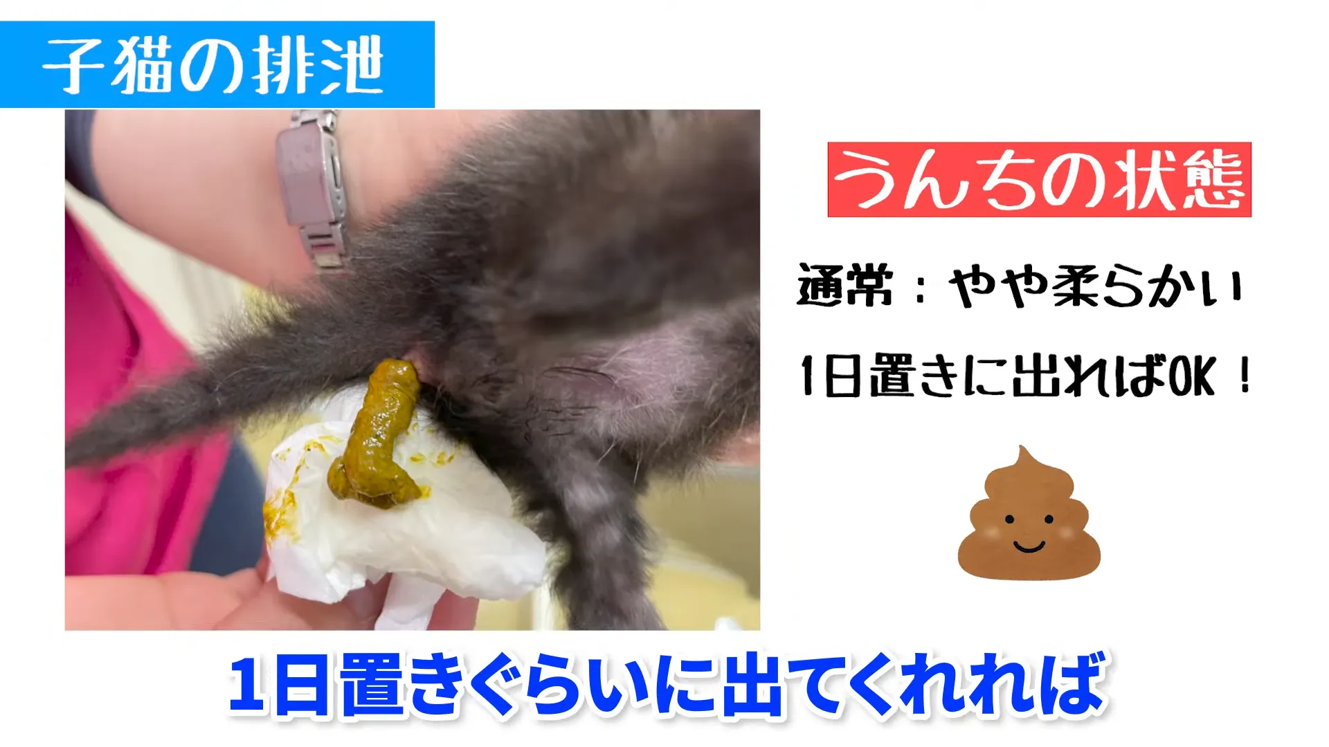 うんちの出し方｜肛門まわりをやさしく刺激する