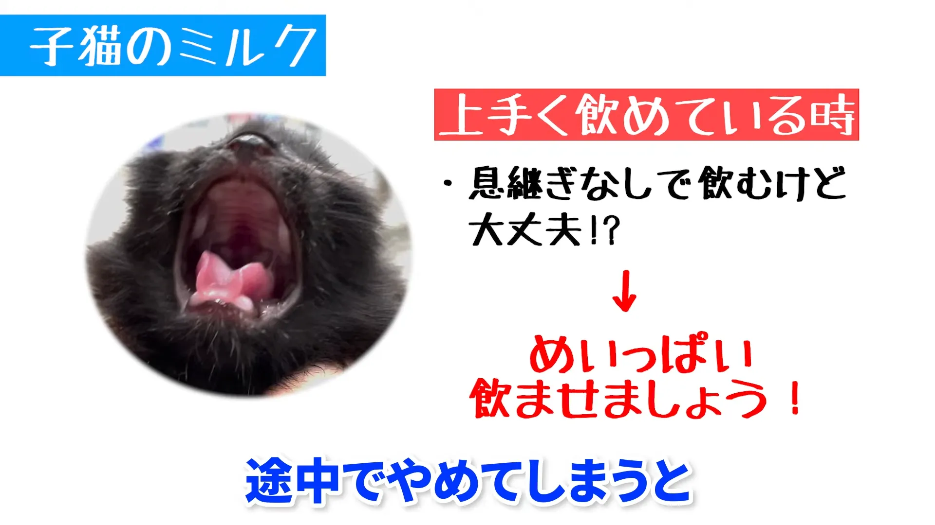 上手に飲めているサイン・飲めていないサインの見分け方