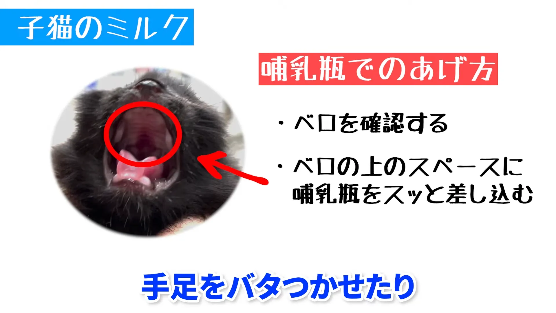 哺乳瓶の乳首を入れる位置のコツ|ベロの上のスペースに差し込む