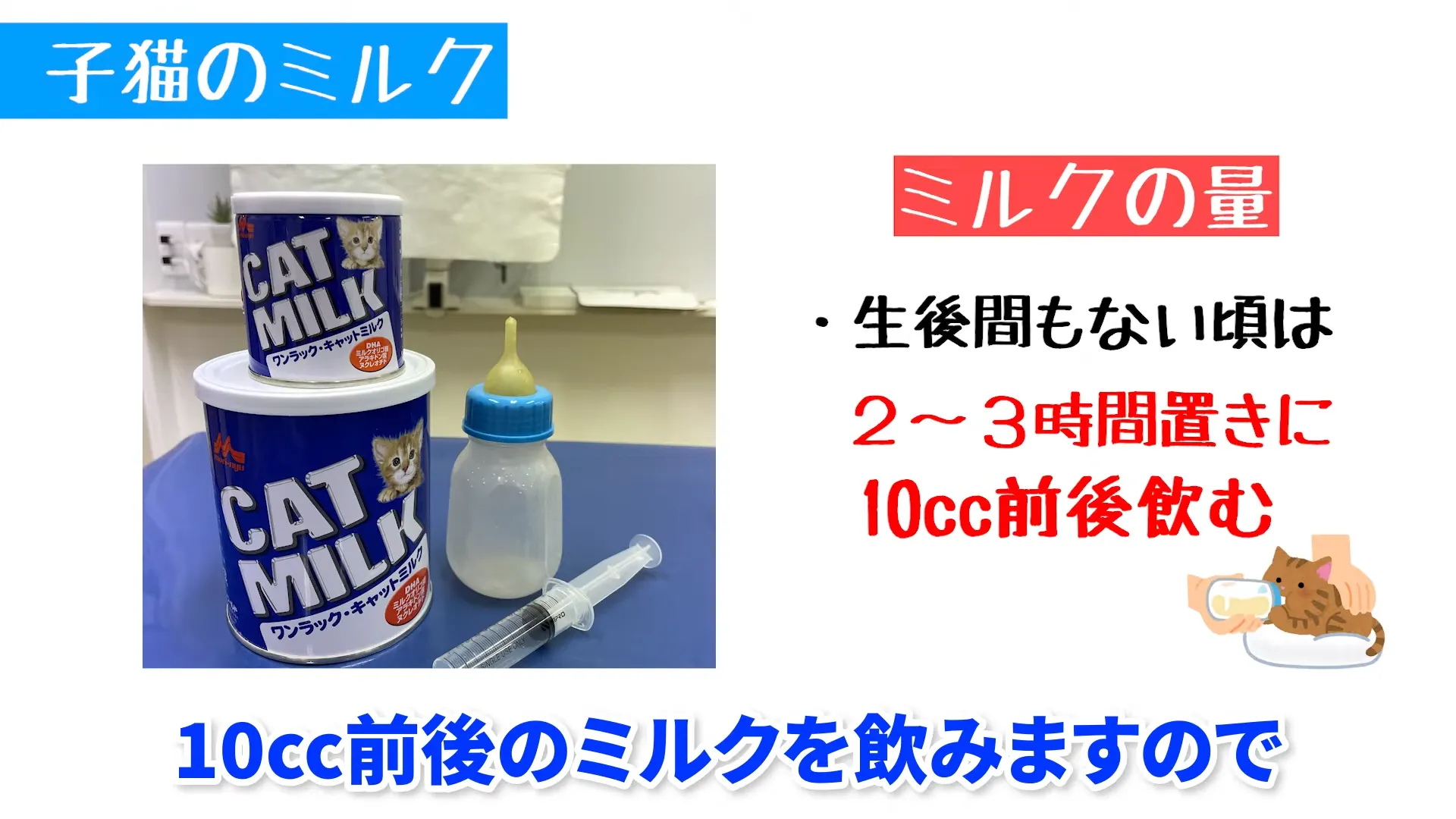 子猫にミルクが必要なのは生後3週ごろまで