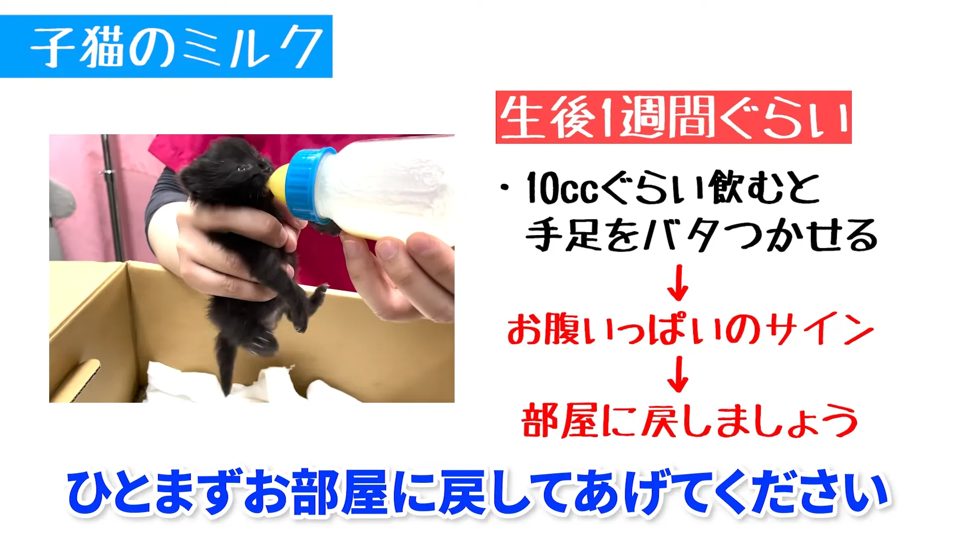 飲む量とお腹いっぱいのサインの見極め方