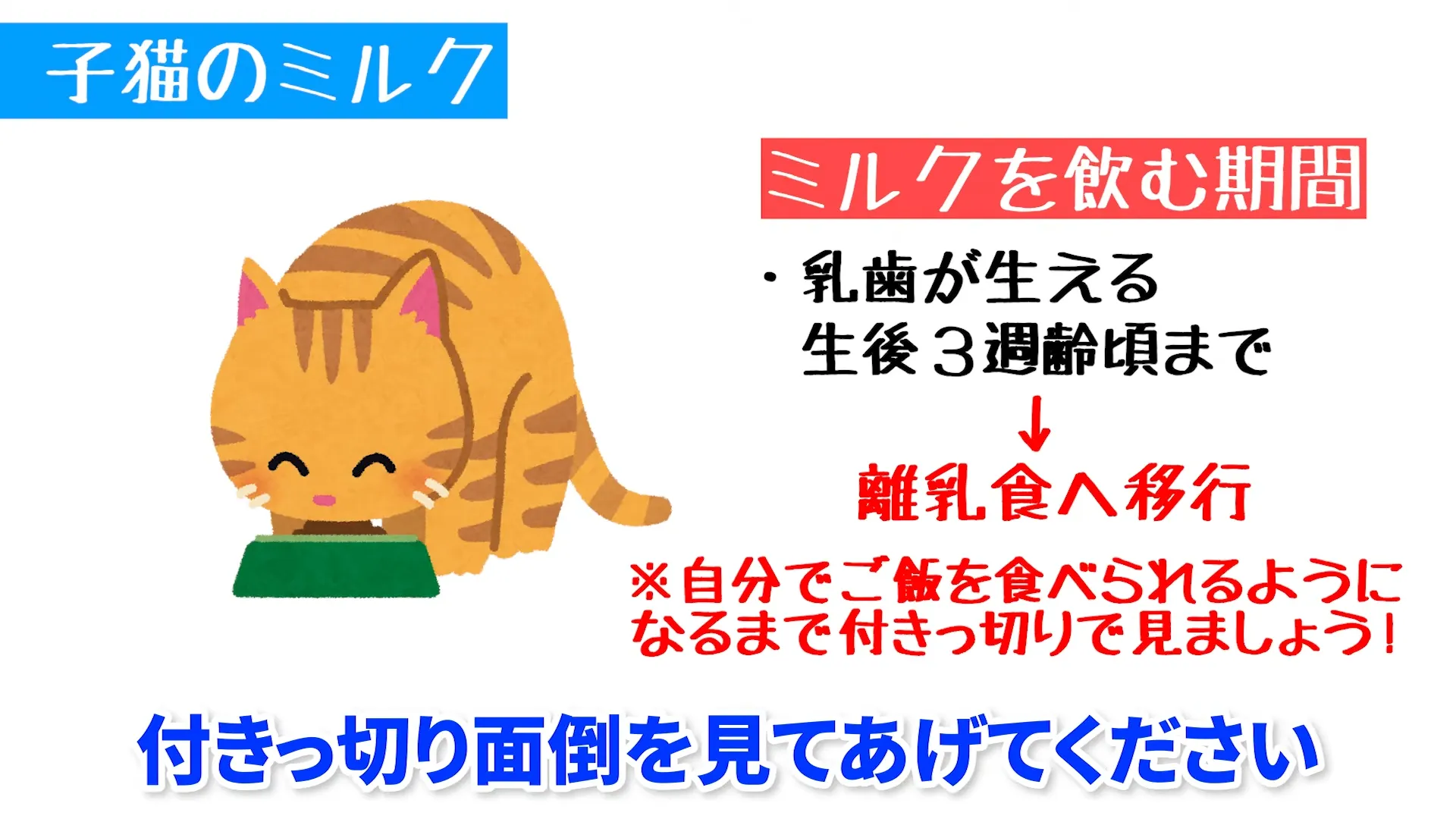 ミルクは飲ませるたびに作り直す|離乳食への移行は生後3週ごろから