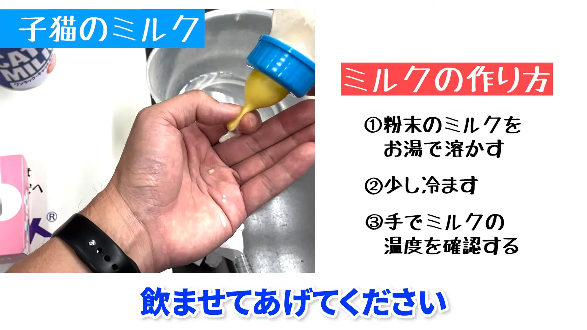 子猫用ミルクの作り方