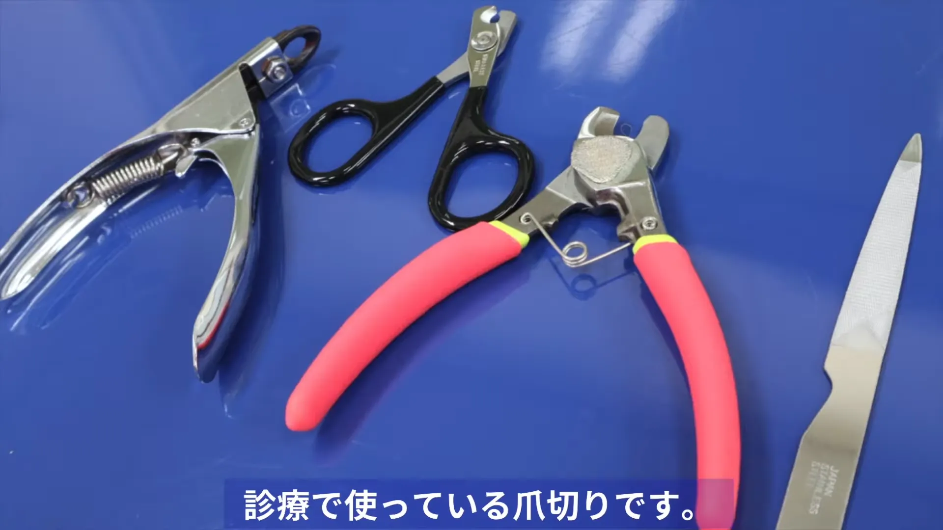 動物病院で使用している爪切り