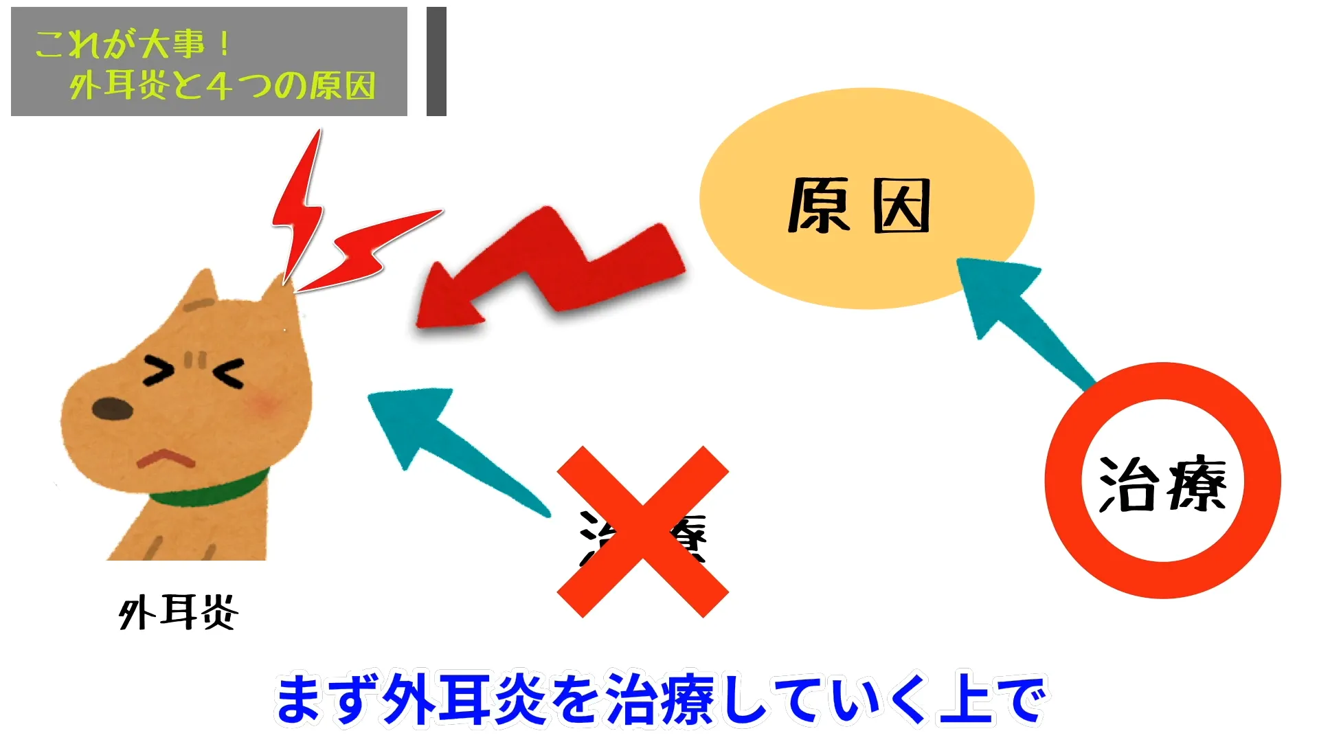 「治療しても繰り返す…」その外耳炎、原因にアプローチできていないのかもしれません