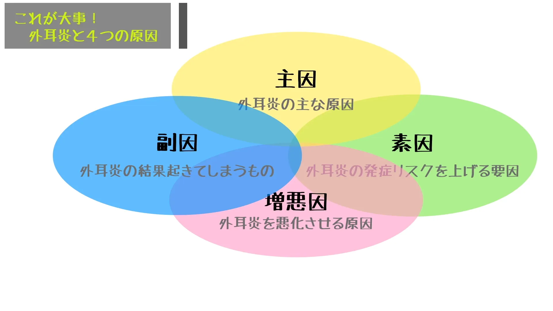 外耳炎はなぜ起こる?診療で使う「4つの要因」の考え方