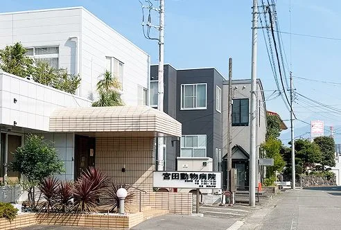 約50m進むと左手に当院
