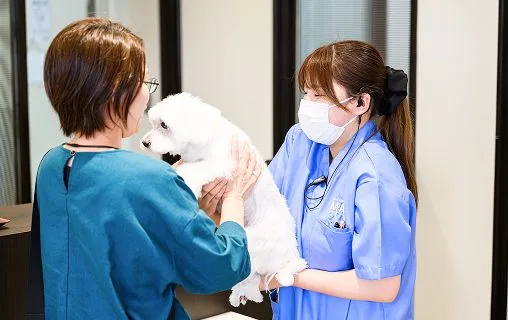 お迎え・ご説明