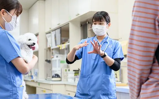 治療内容の説明
