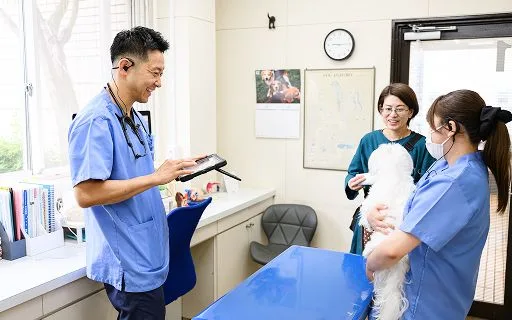 生活アドバイス