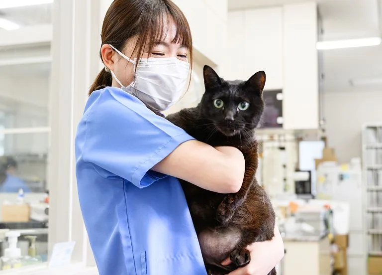 動物への負担を最小限にする手術