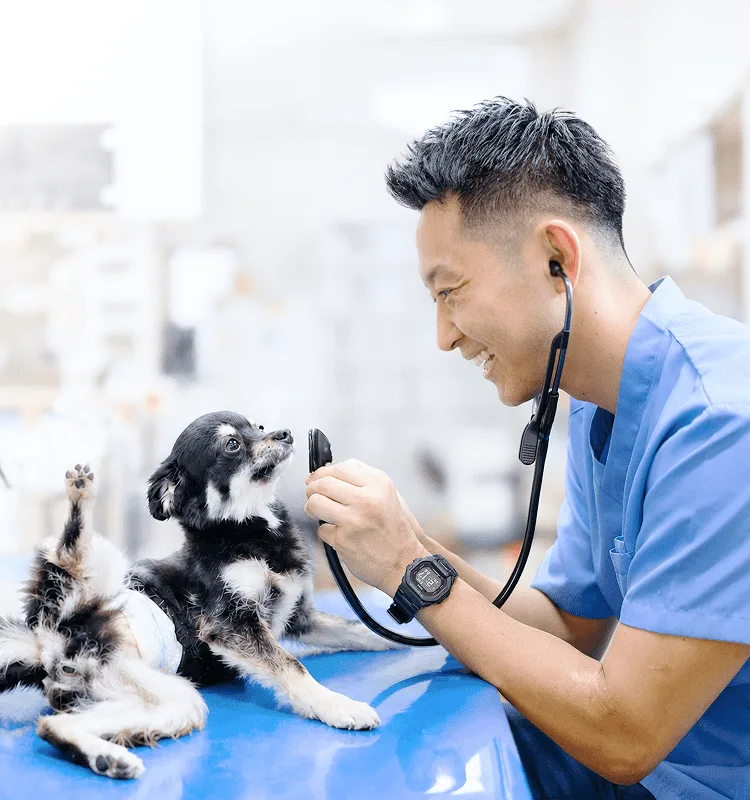 宮田動物病院