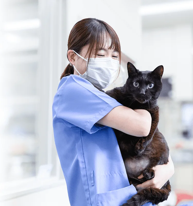 宮田動物病院