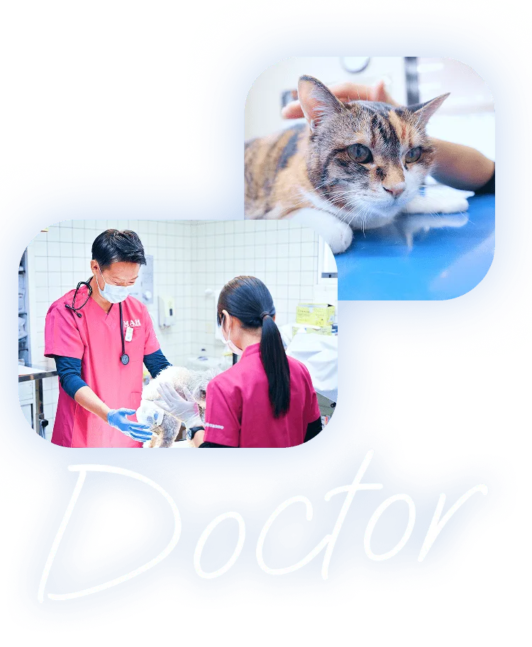 Doctor