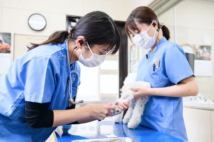 内分泌疾患