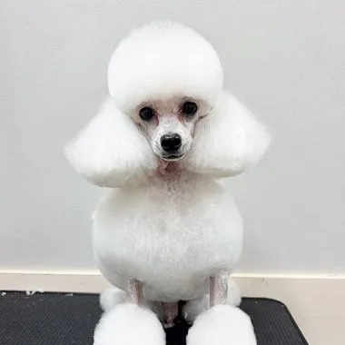 トリミング例1
