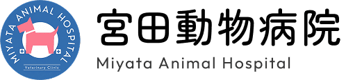 沼津市の宮田動物病院