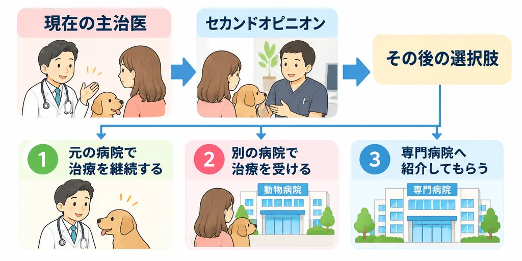 セカンドオピニオン後を説明する図