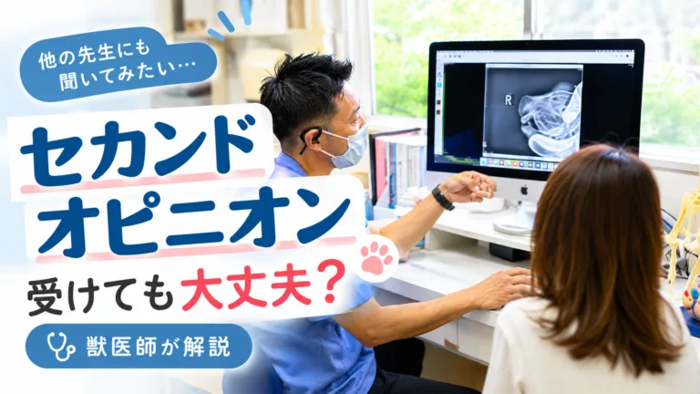 動物病院でセカンドオピニオンについて相談する飼い主様と獣医師