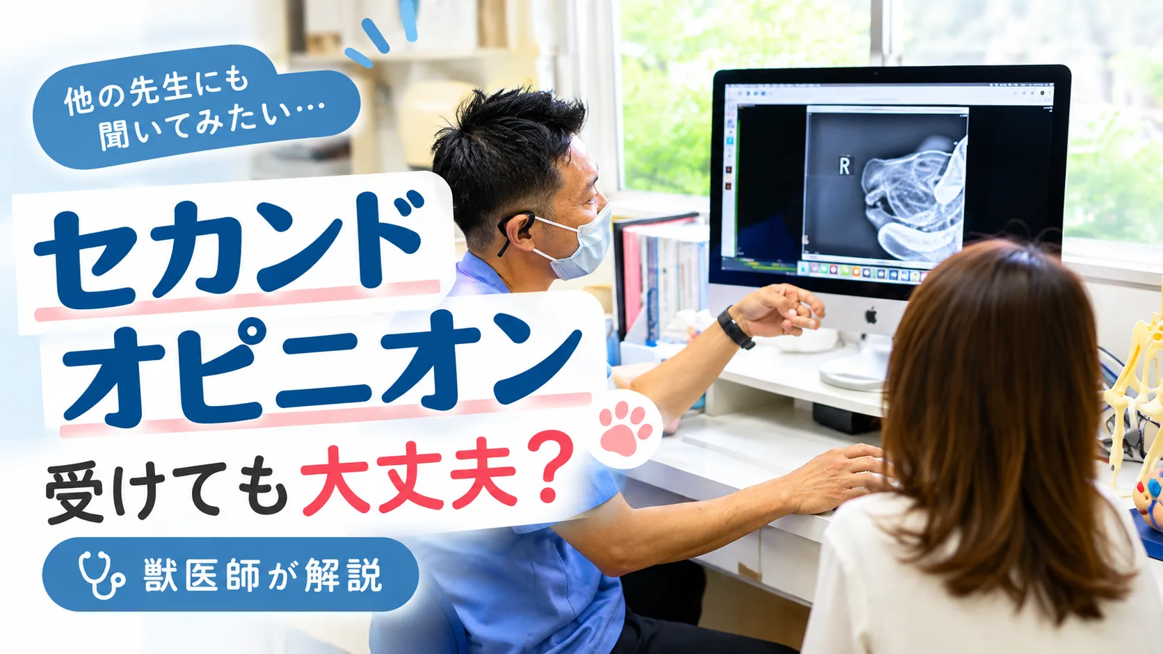 動物病院でセカンドオピニオンについて相談する飼い主様と獣医師