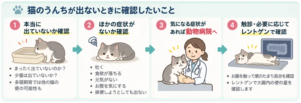 猫のうんちが出ないときに排便量や嘔吐、食欲低下などを確認する流れを示した図