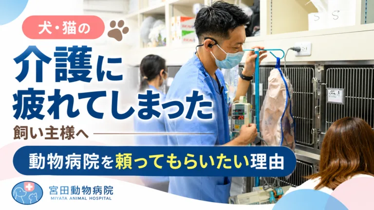 犬・猫の介護に疲れた飼い主様へ