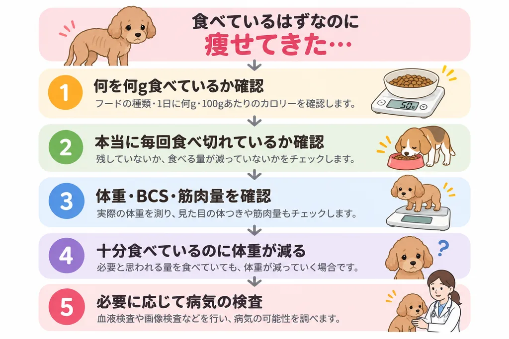犬猫が食べているはずなのに痩せる場合に確認する順番を示した図